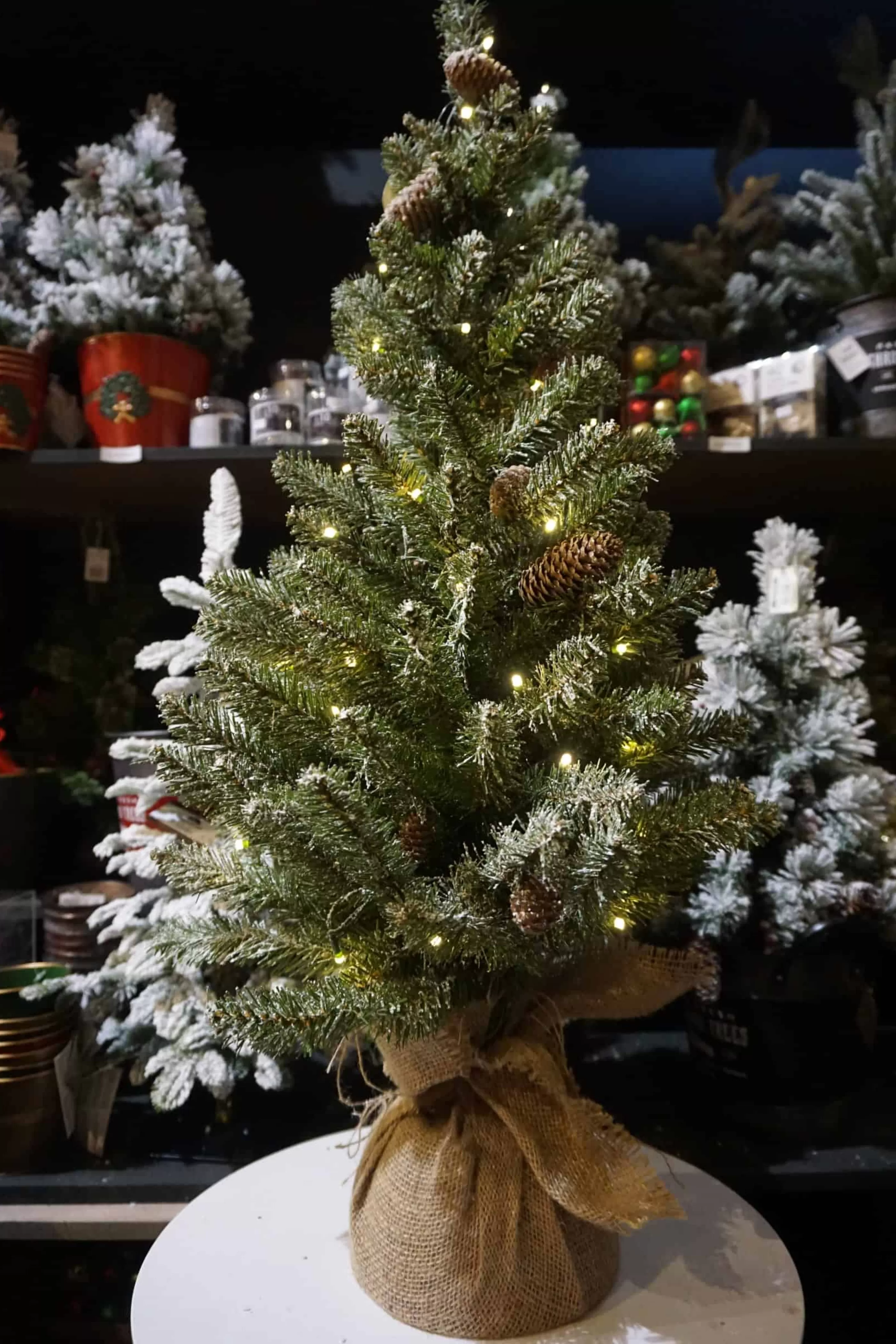 3Ft Snowy Concolor Fir Pre-Lit Artificial Christmas Tree*Christmas Land Best