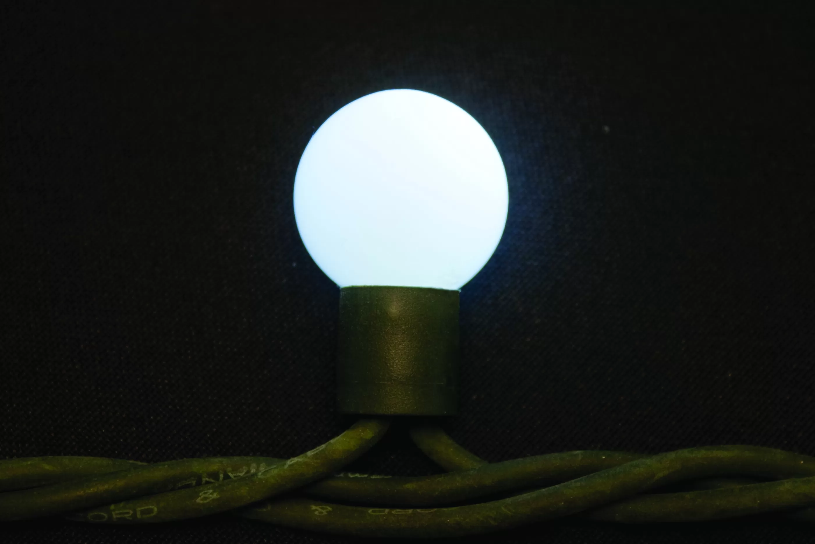 50 Extendable Outdoor Xp Led Ice-White Berry Christmas Lights*Christmas Land Online