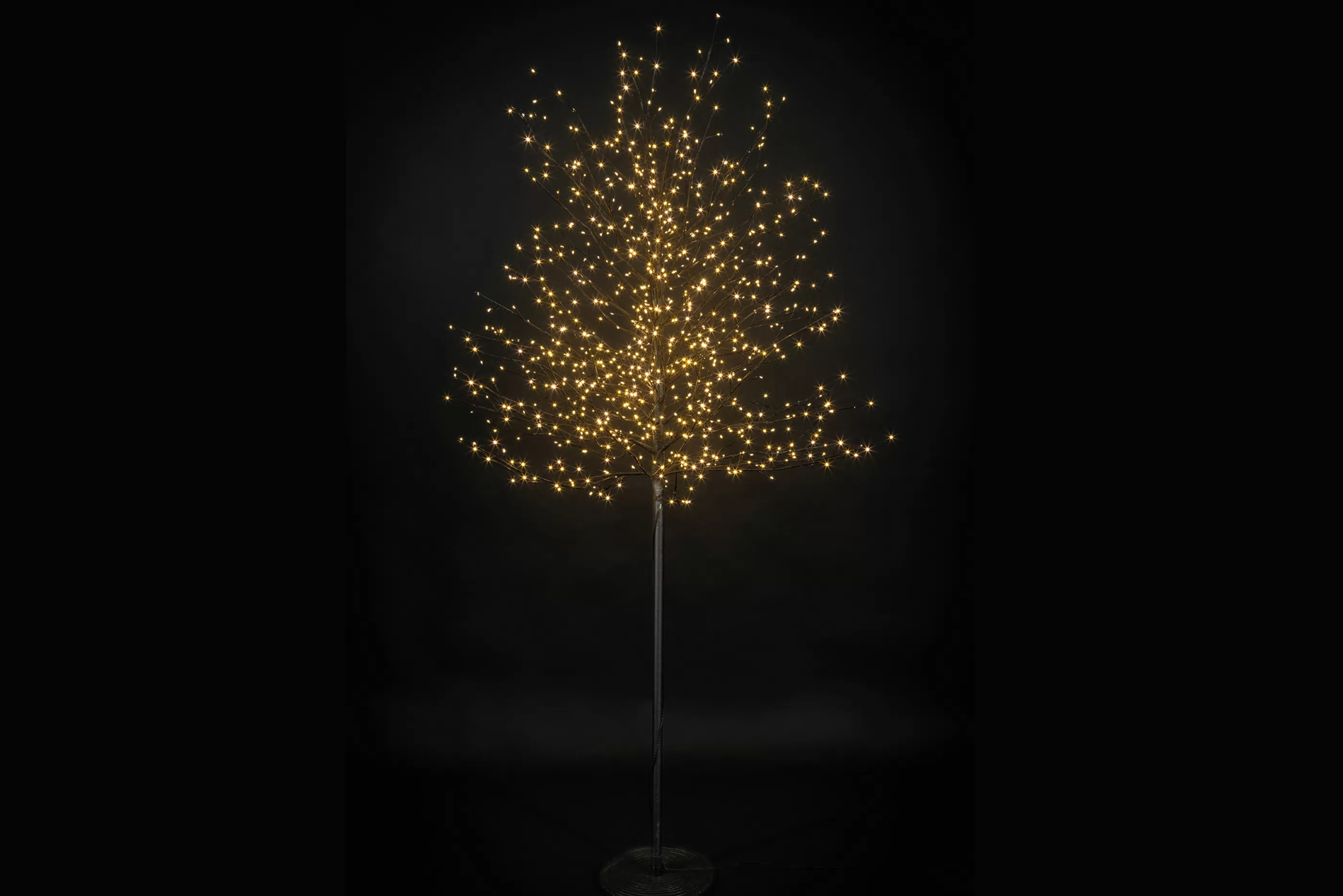 6Ft Led Christmas Tree Fausto Black*Christmas Land Online
