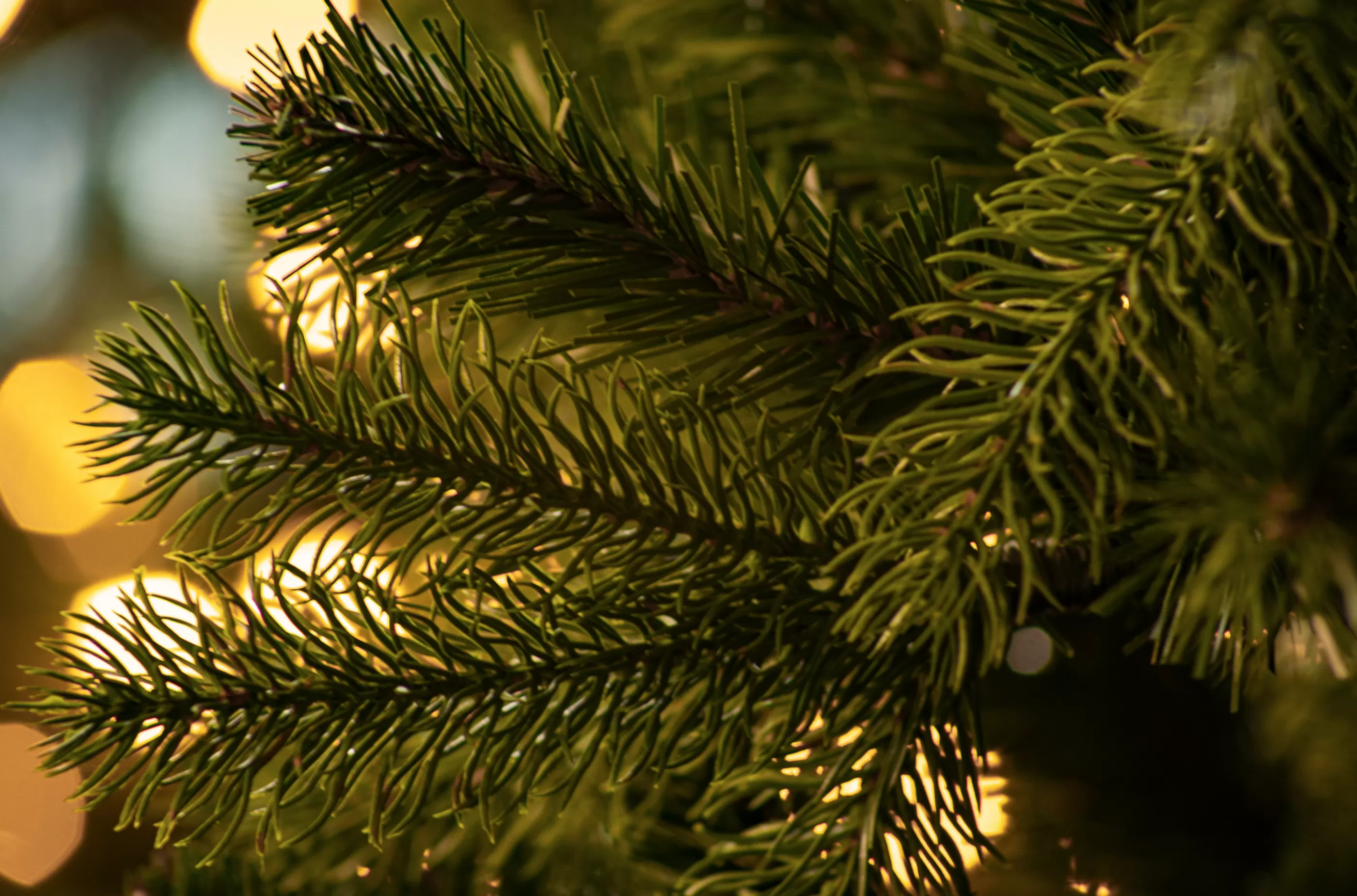 7.5Ft Feel Real Newberry Spruce Artificial Christmas Tree*Christmas Land Discount