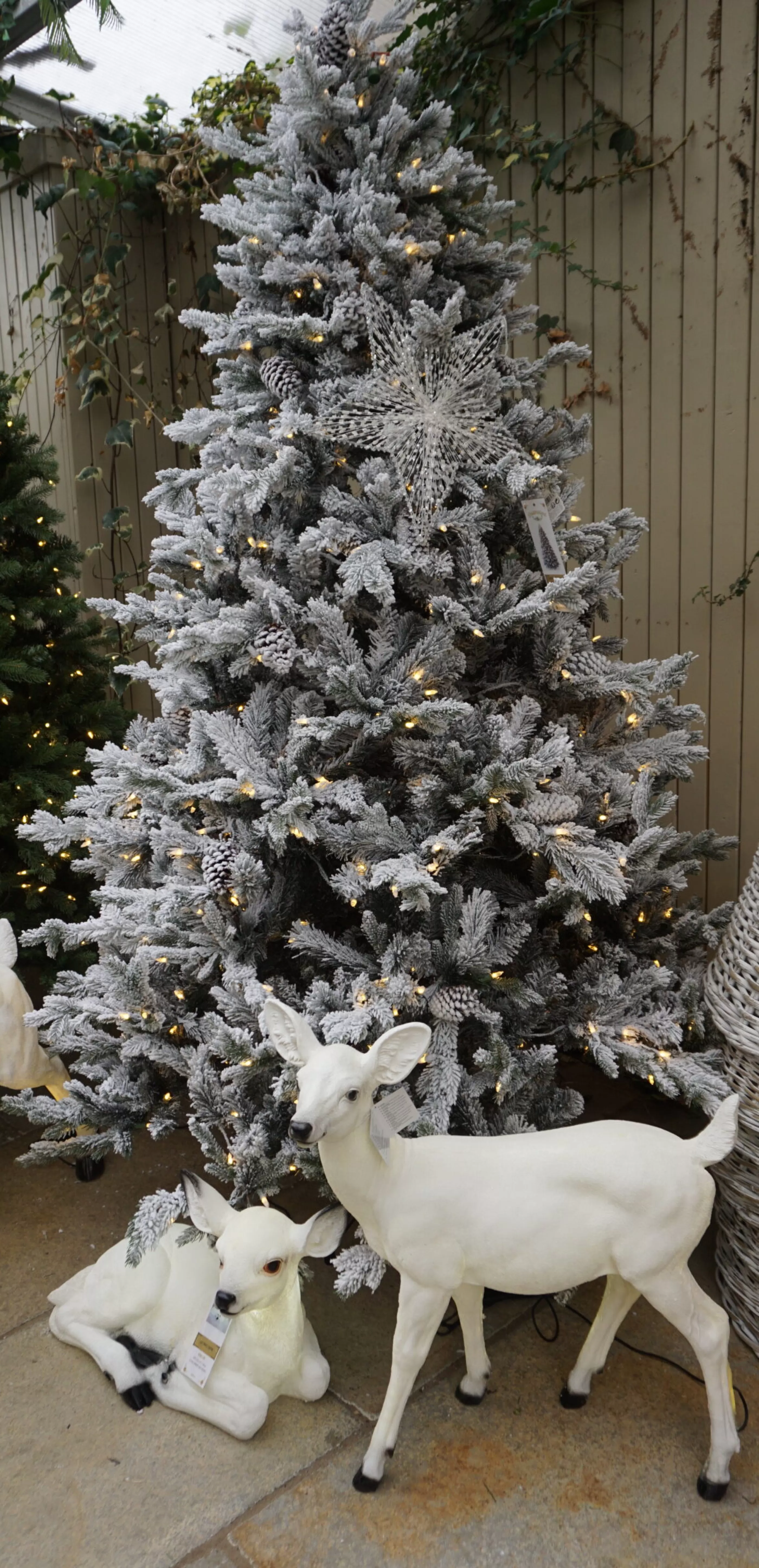 9Ft Feel Real Snowy Waterford Pine Pre-Lit Artificial Christmas Tree*Christmas Land Outlet